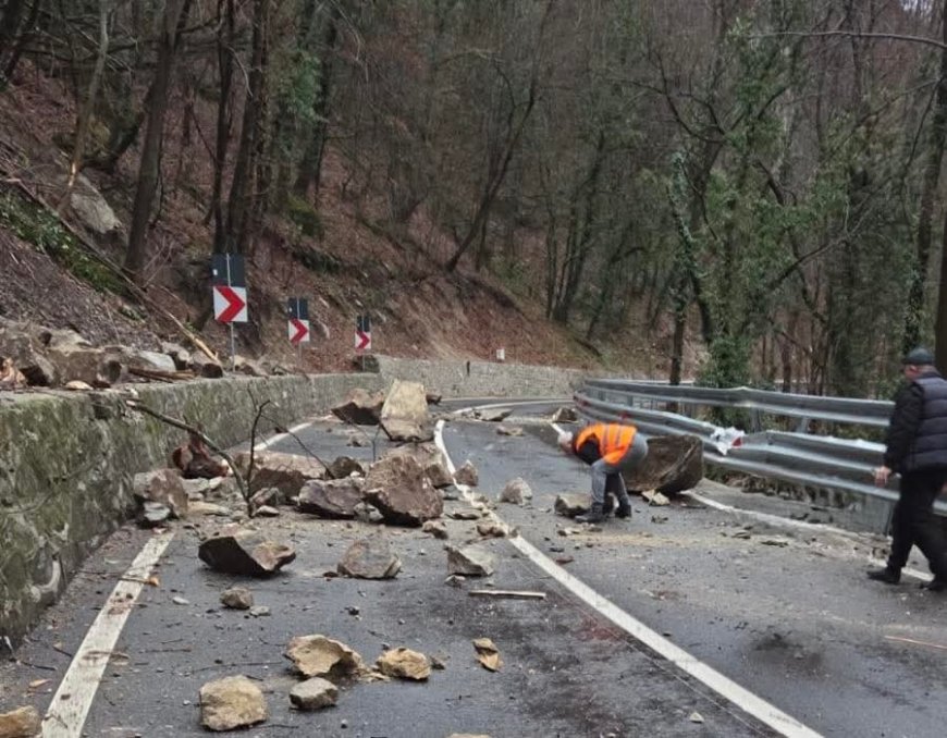 ALUNECĂRI DE TEREN ÎN CARAȘ-SEVERIN