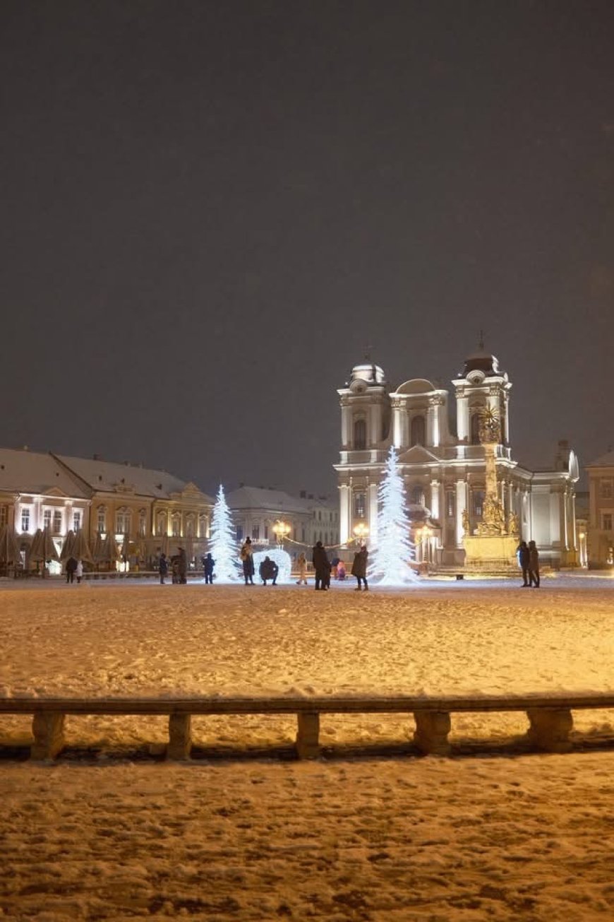 NINSOARE ȘI GER ÎN TIMIȘOARA, ÎN URMĂTOARELE ZILE