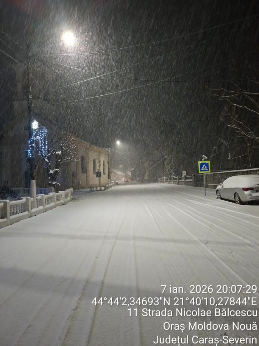 GERUL LOVEȘTE JUDEȚUL TIMIŞ