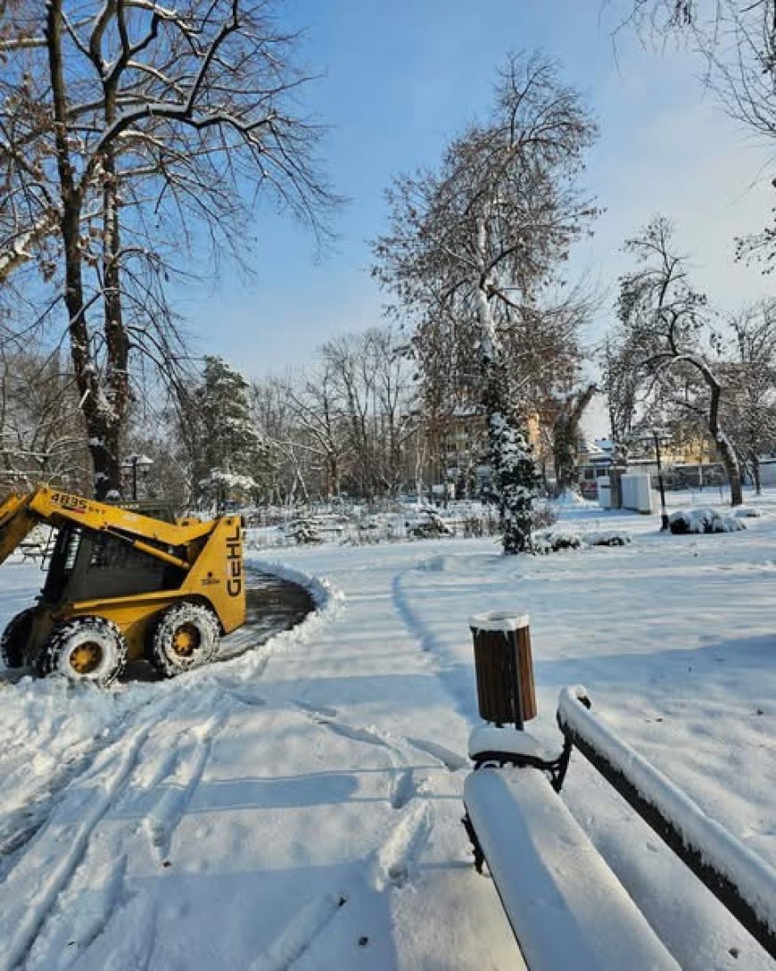 ECHIPELE HORTICULTURA AU DESZĂPEZIT PARCURILE DIN TIMIȘOARA