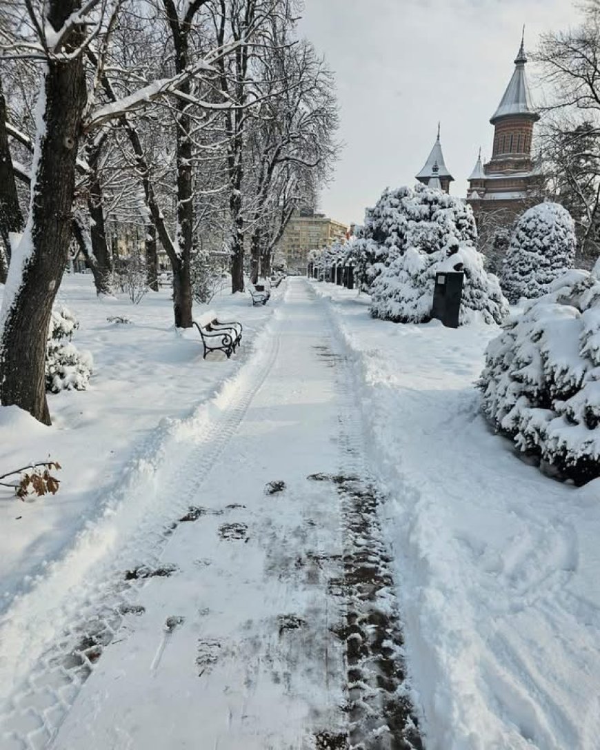 ECHIPELE HORTICULTURA AU DESZĂPEZIT PARCURILE DIN TIMIȘOARA