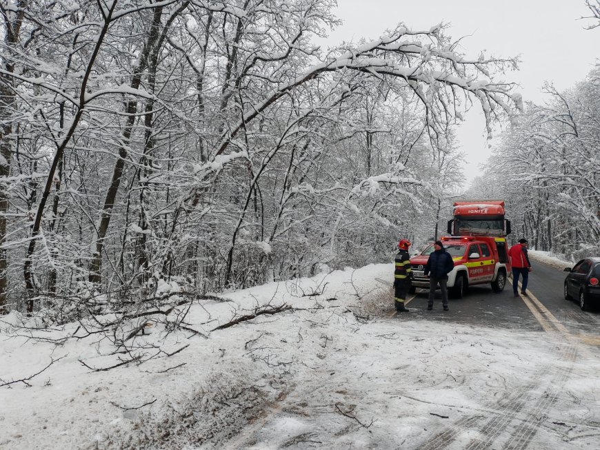 Situație stabilă în județul Timiș, în condiții de ger