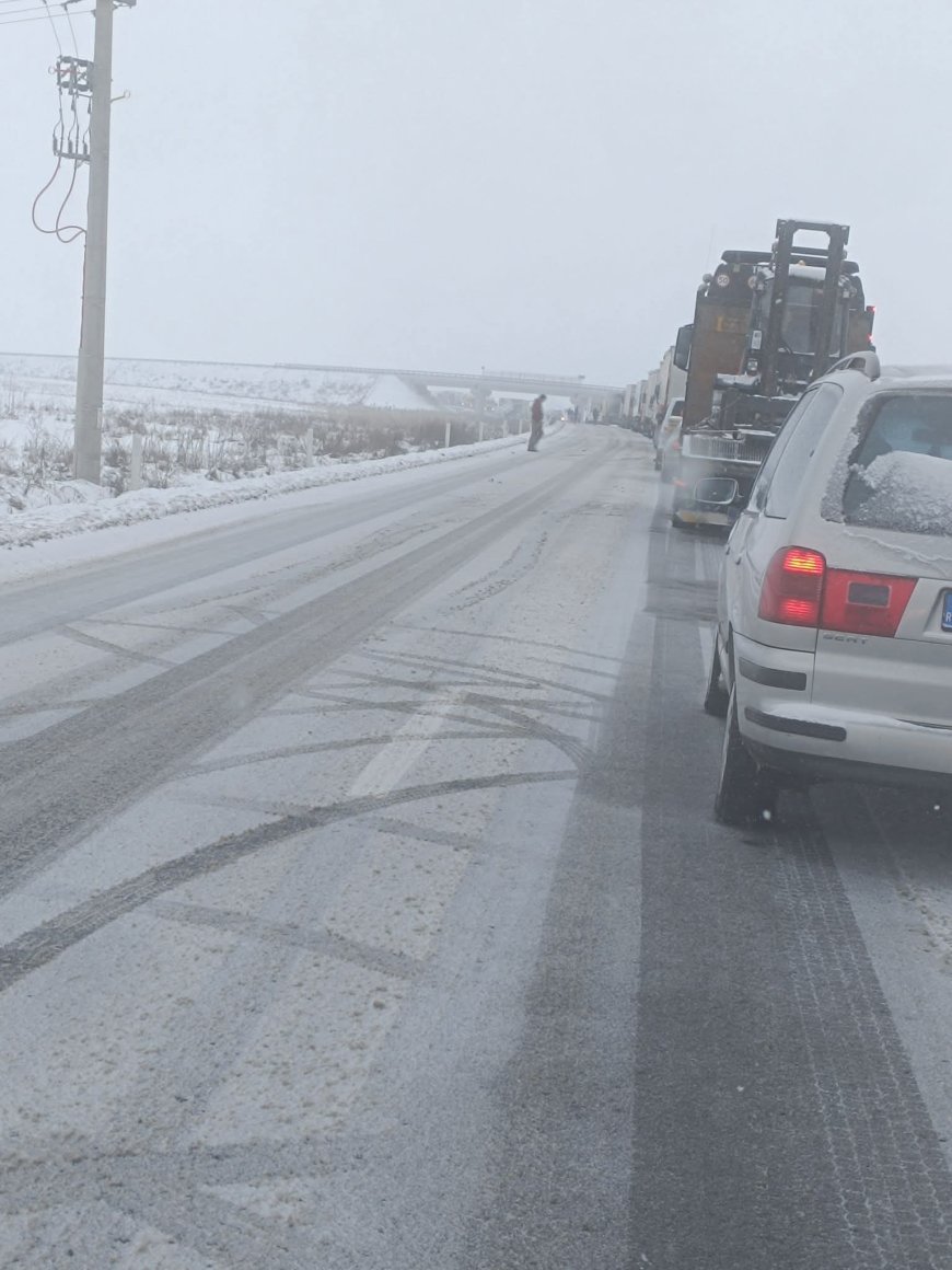 ACCIDENT GRAV ÎN TIMIȘ! ȘOFER ÎNCARCERAT