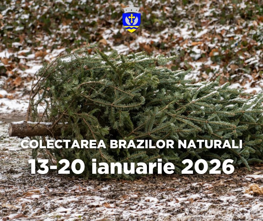 SE PREIAU BRAZII NATURALI DIN GHIRODA