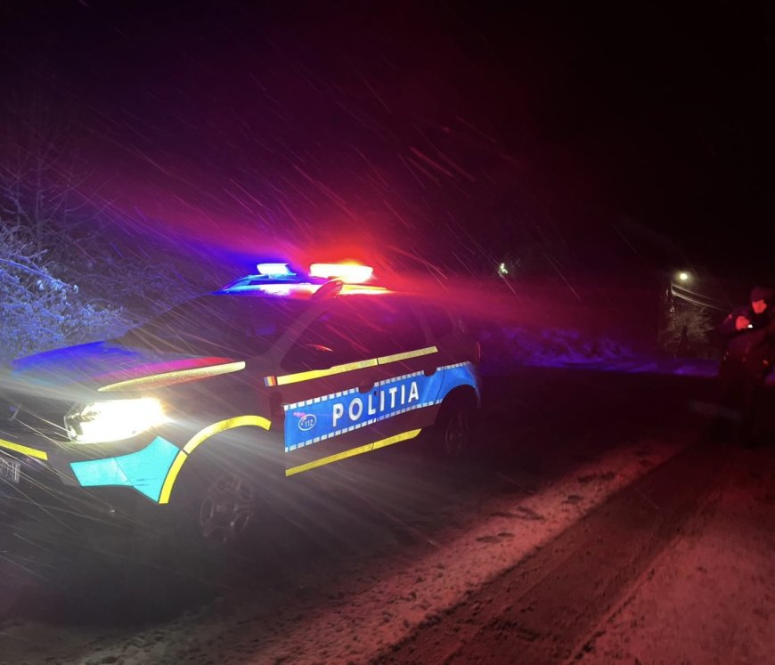 Șoferi beți pe șoselele din Arad