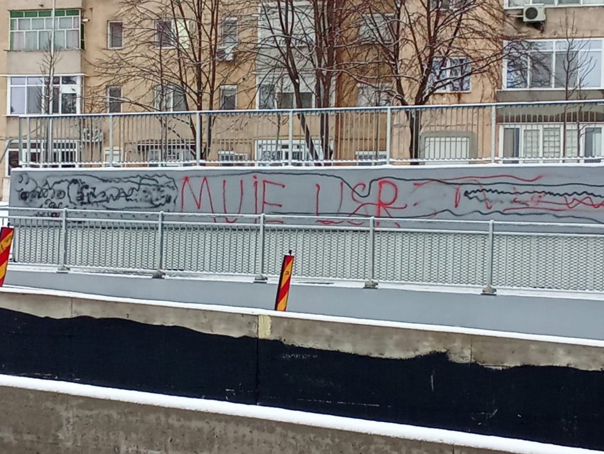 Pasajul Solventul, vandalizat cu inscripții jignitoare