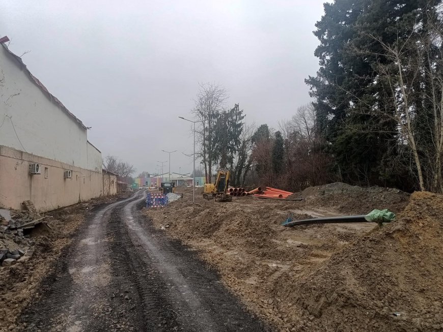 COPIII DIN LUGOJ AJUNG LA CREȘĂ PRIN NOROI