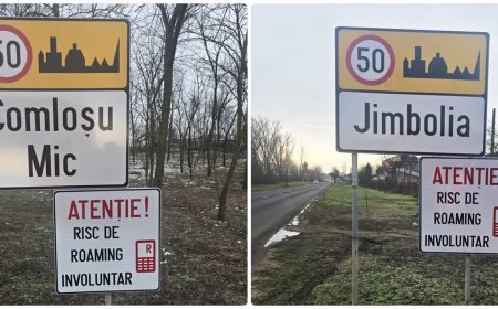 ROAMING INVOLUNTAR PE MAI MULTE DRUMURI DIN TIMIȘ