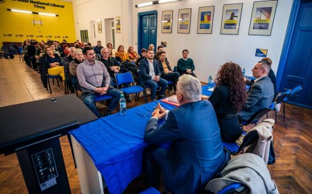 RĂSPUNDEREA PENALĂ A MINORILOR- ÎN DEZBATERE