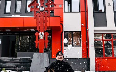Peste 2.900 de intervenții ISU Timiș în ianuarie
