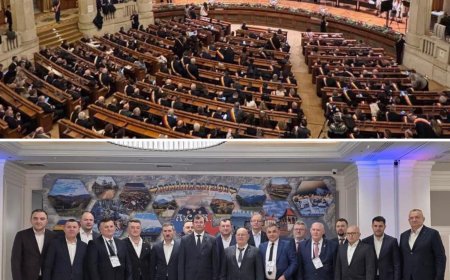 DIRECȚIILE VIITOAREI REFORME ADMINISTRATIVE