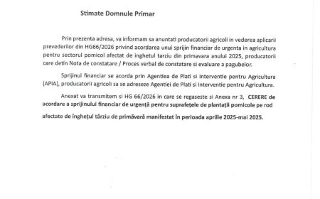 Ajutor de urgență pentru pomicultorii din Timiș afectați de îngheț