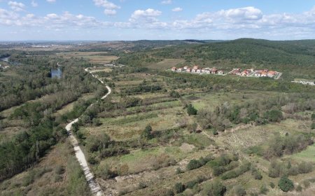 Soluții verzi pentru râul Timiș
