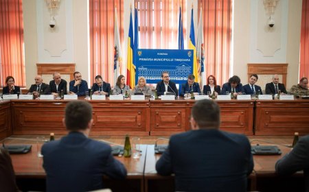 TIMIȘUL POATE SUSȚINE INDUSTRIA DIN ROMÂNIA