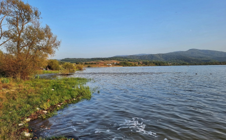 BĂRBAT PIERDUT ÎN APELE LACULUI SURDUC
