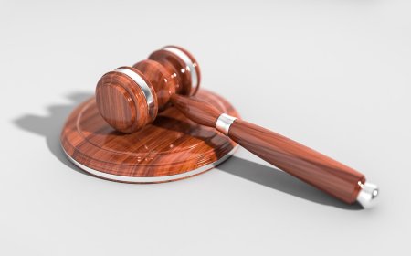 MINISTERUL JUSTIȚIEI A VALIDAT TOȚI CEI 19 CANDIDAȚI PENTRU ȘEFIA MARILOR PARCHETE
