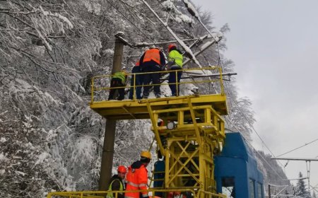 S-A ACȚIONAT PENTRU SIGURANȚA CIRCULAȚIEI TRENURILOR