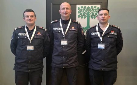 ISU HUNEDOARA, PREZENT LA WORKSHOP-UL INTERNAȚIONAL DARE DIN GERMANIA