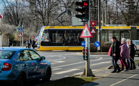 ÎNCĂ 10 TROLEIBUZE ELECTRICE NOI PENTRU TIMIȘOARA