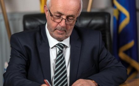 CUM AU FOST STABILITE TAXELE LA GOTTLOB?