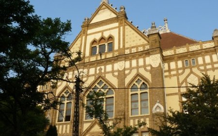 PREGĂTIRE PENTRU ADMITEREA LA PROFILUL PEDAGOGIC, LA COLEGIUL NAȚIONAL PEDAGOGIC „CARMEN SYLVA” TIMIȘOARA