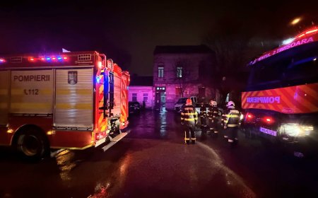 TIMIȘENII, ÎN SIGURANȚĂ DATORITĂ POMPIERILOR