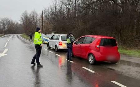 APROAPE 60 DE AMENZI APLICATE PE DN 6, ÎN ACȚIUNE A POLIȚIȘTILOR