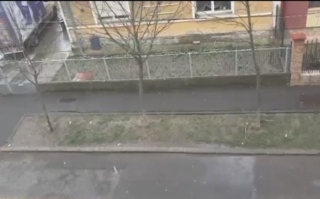 VIDEO | GRINDINĂ LA TIMIȘOARA