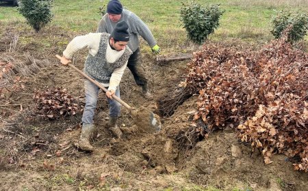 Romsilva pregătește campania de primăvară