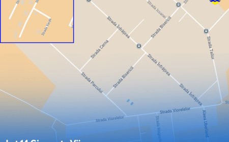 Cum evoluează lucrările de infrastructură din Giarmata Vii?