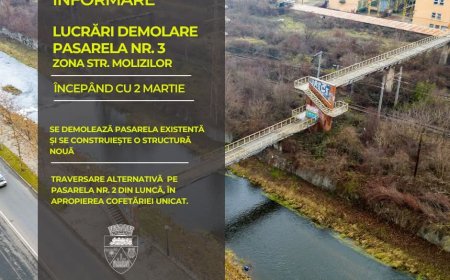 Se desființează o pasarelă peste Bârzava