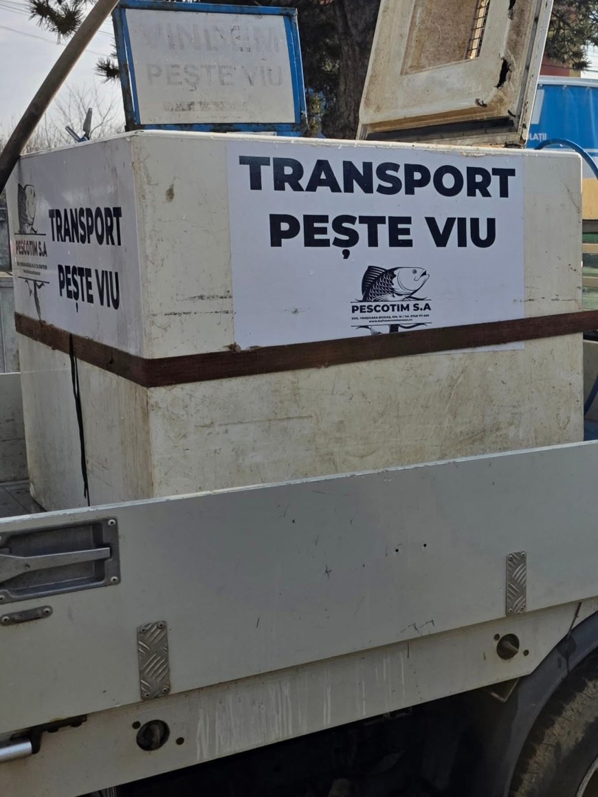 Crap viu de la Sacoșul Turcesc, în fiecare marți, în Ghiroda