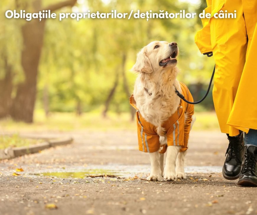 OBLIGAȚIILE PROPRIETARILOR DE CÂINI