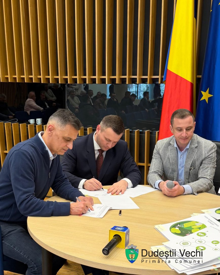 Investiție de 2 milioane de lei pentru iluminatul public din Dudeștii Vechi