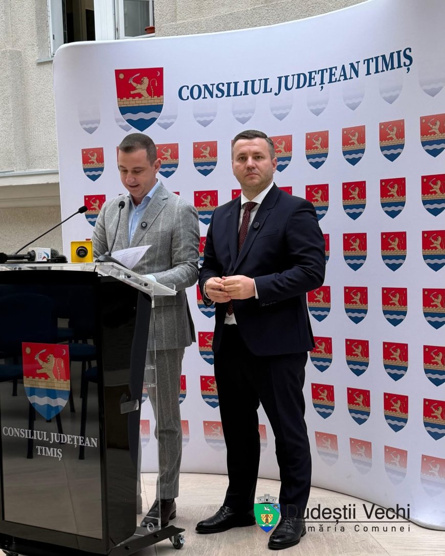 Investiție de 2 milioane de lei pentru iluminatul public din Dudeștii Vechi