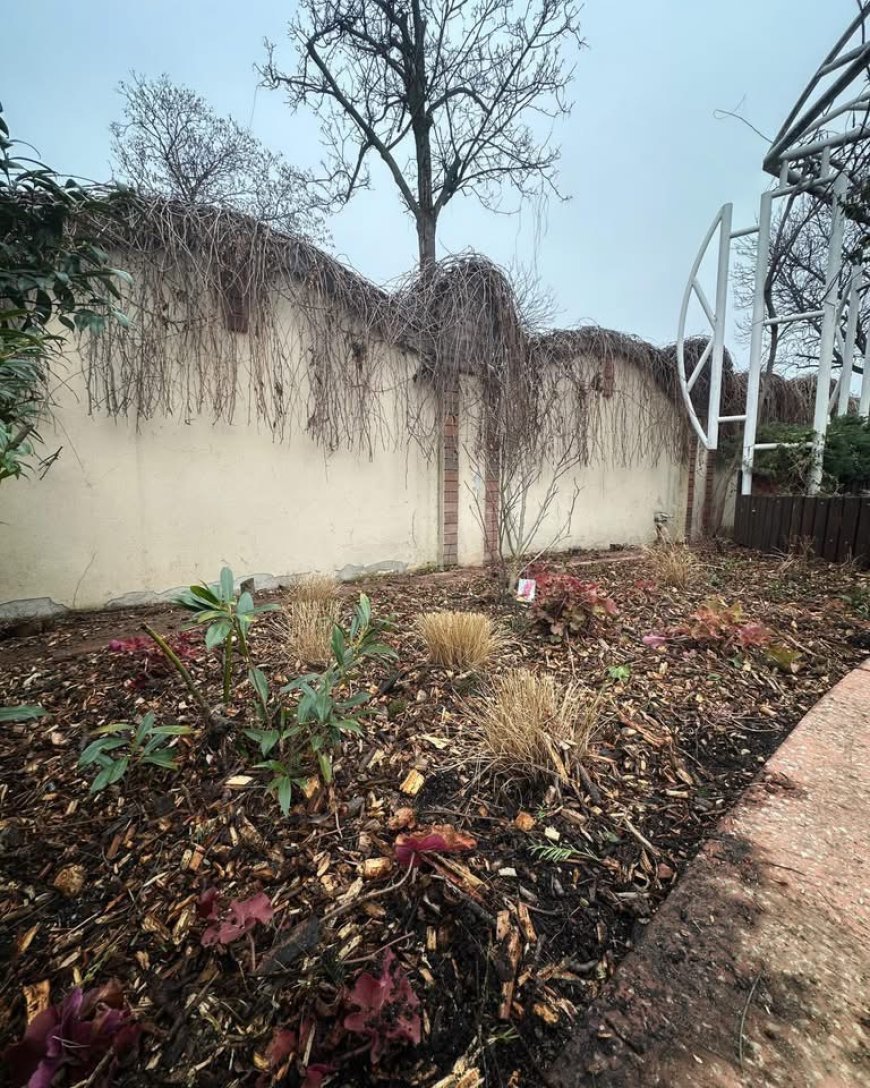 CASA CĂSĂTORIILOR DIN TIMIȘOARA, ÎNSUFLEȚITĂ DE ECHIPELE HORTICULTURA