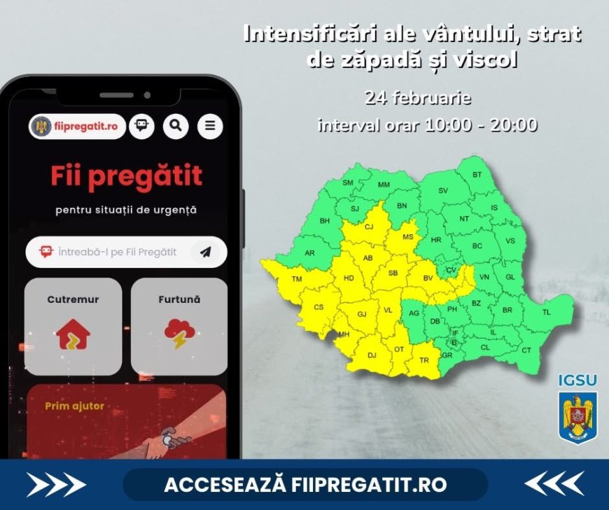 COD GALBEN DE VISCOL ȘI NINSOARE