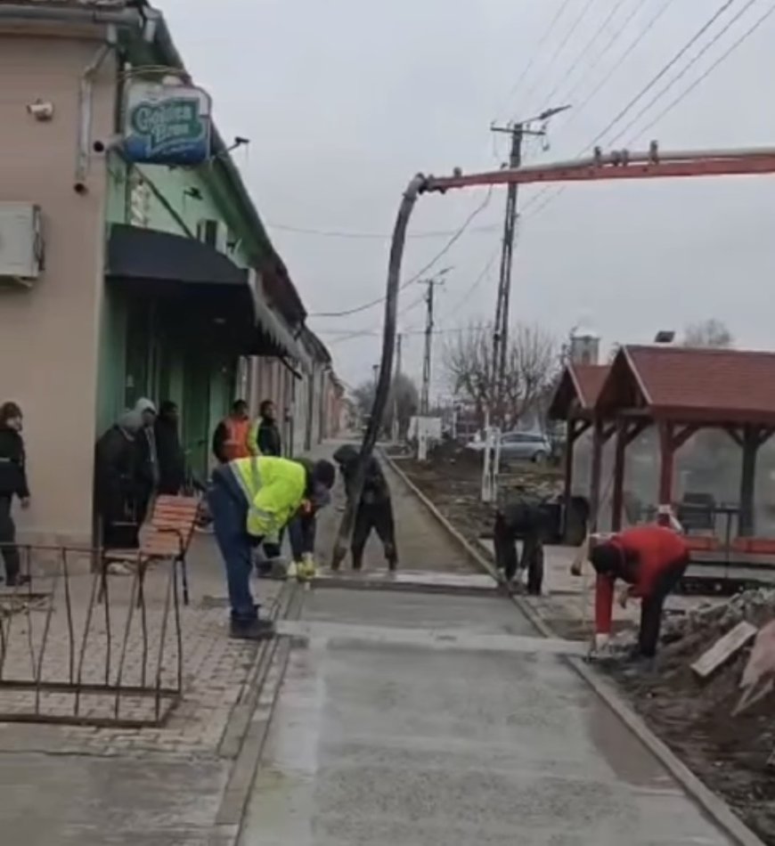 Lenauheim: proiecte locale și curățenia de primăvară