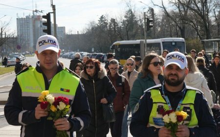Misiune specială: Flori pentru timișorence