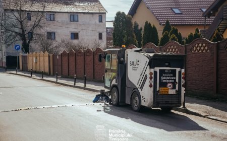 Curățenie generală în Timișoara