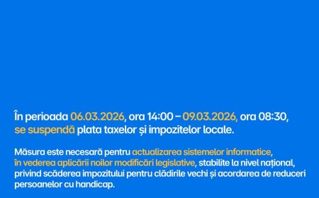 Suspendarea temporară a taxelor locale la Timișoara