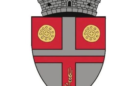 Ce taxe și impozite plătesc locuitorii comunei Boldur?