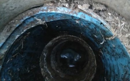 Problema canalizării unui bloc din Moldova Nouă, remediată în timp util