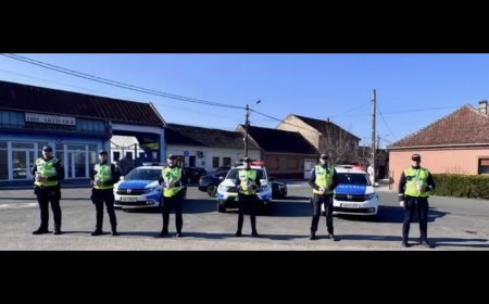 Flori, nu amenzi, de la polițiștii cărășeni