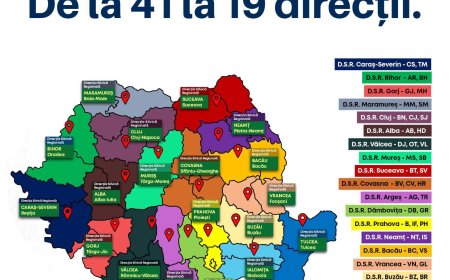 Se reduc directorii odată cu Reforma Romsilva