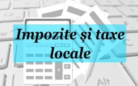 Impozit redus pentru persoanele cu handicap din Șag