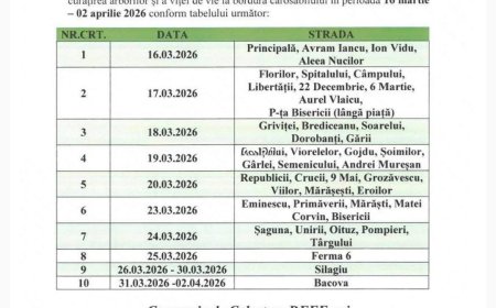 Campanie de colectare a deșeurilor vegetale, la Buziaș