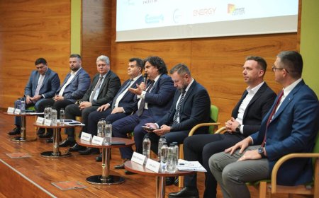 Viitorul energiei, discutat la Universitatea Politehnica Timișoara în cadrul conferinței „AIEE Talk - Cariera în industria energetică”
