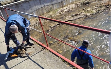 Acțiune de igienizare pe râul Bega, la Tomești