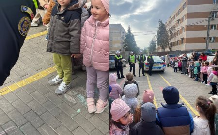 Siguranța rutieră pe înțelesul copiilor